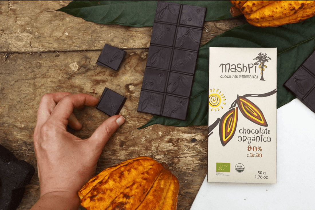 80% Chocolate Bar - Mashpi Chocolate 